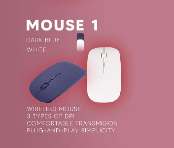 Mouse 10